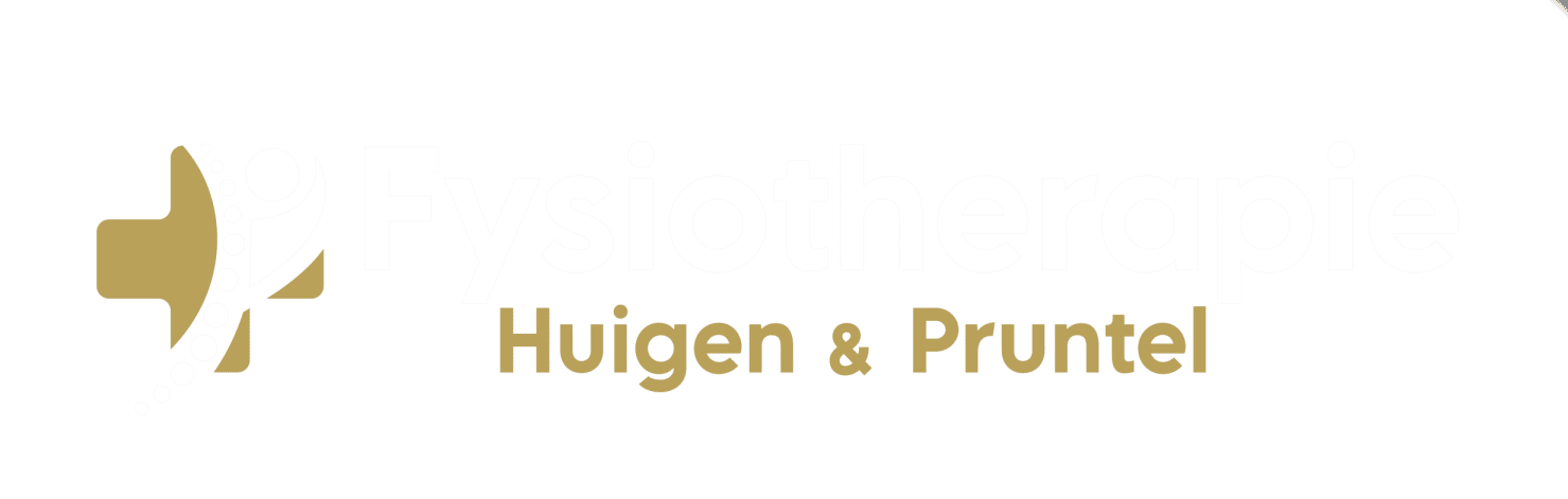 Fysio Enschede - Huigen en Pruntel logo